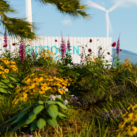 Vety ja kestävä kehitys